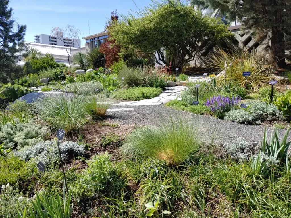 Denver Botanic Gardens