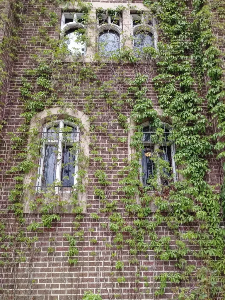 Church of Cannabis, Denver, Colorado